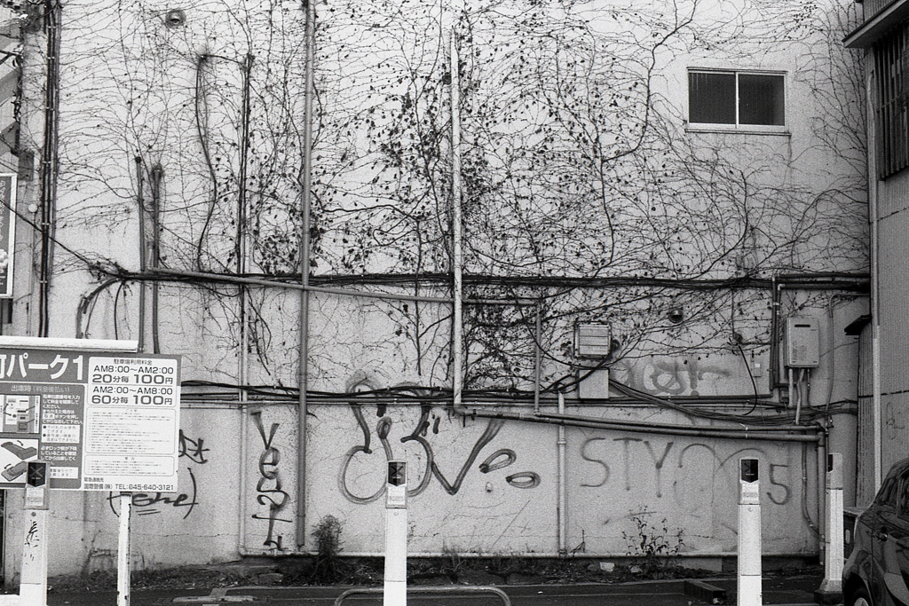 「伊勢佐木町PARK 1」 (film)