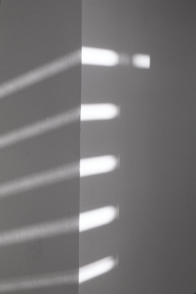 「Ray」 (film)
