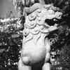 「狛犬」 (film)