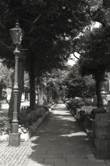 「monochrome」 (film:HR20)
