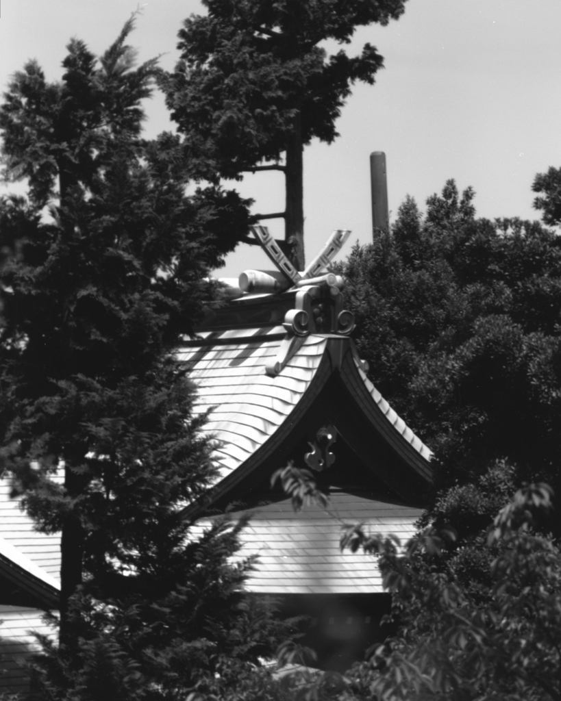「天満宮」 (film:HR20)