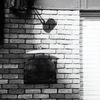 「木洩れ陽」 (film:HR20)