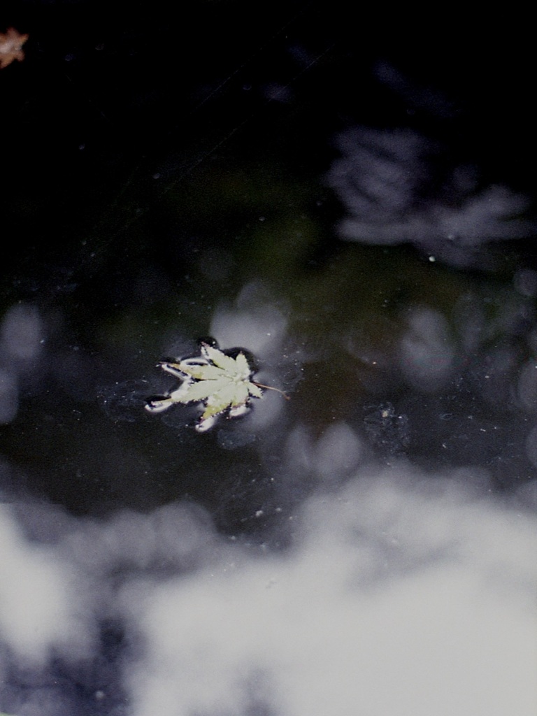 「Tiny Autumn」 (film)