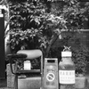 「駐禁」 (film)