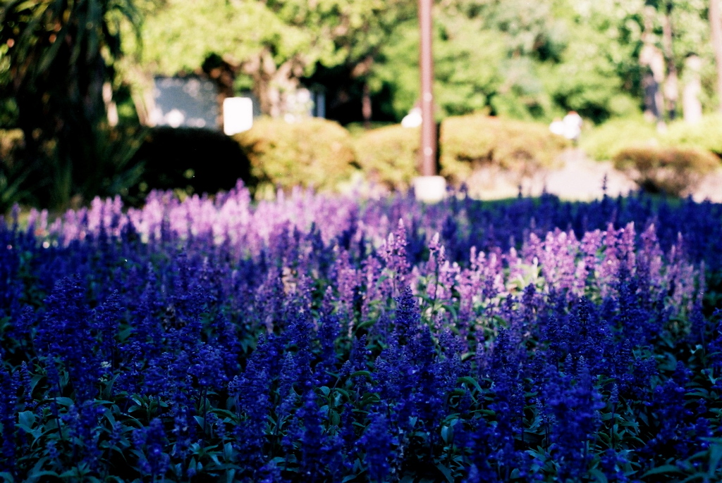 「Light & Shadow 03」 (film)