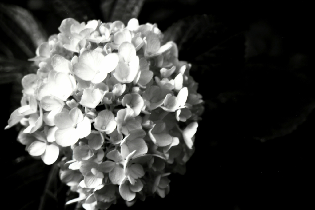 「Universe」 (film:HR20)