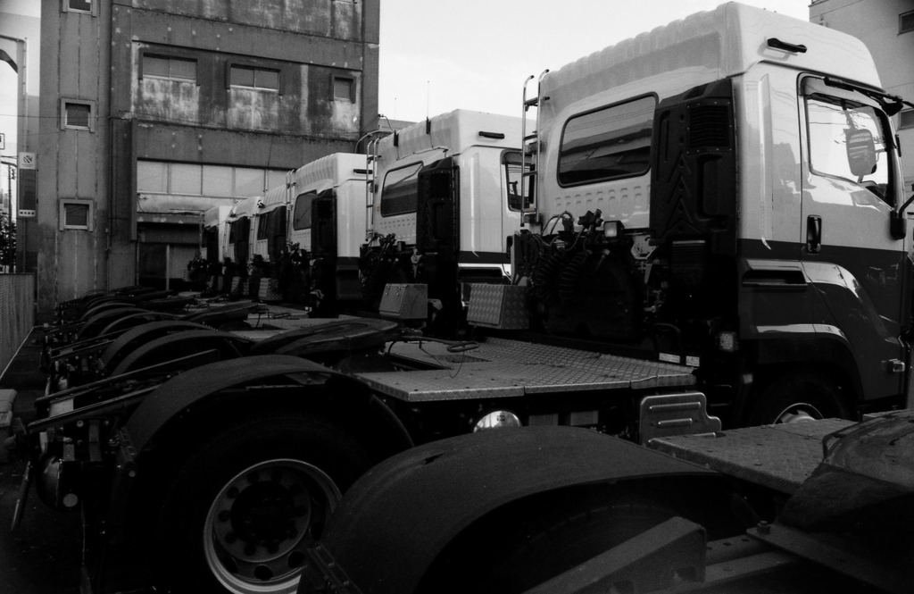 「Trailer heads」  (film)