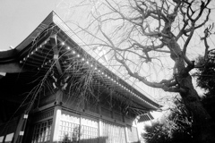 「杉山神社」 (film)
