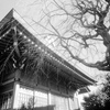 「杉山神社」 (film)