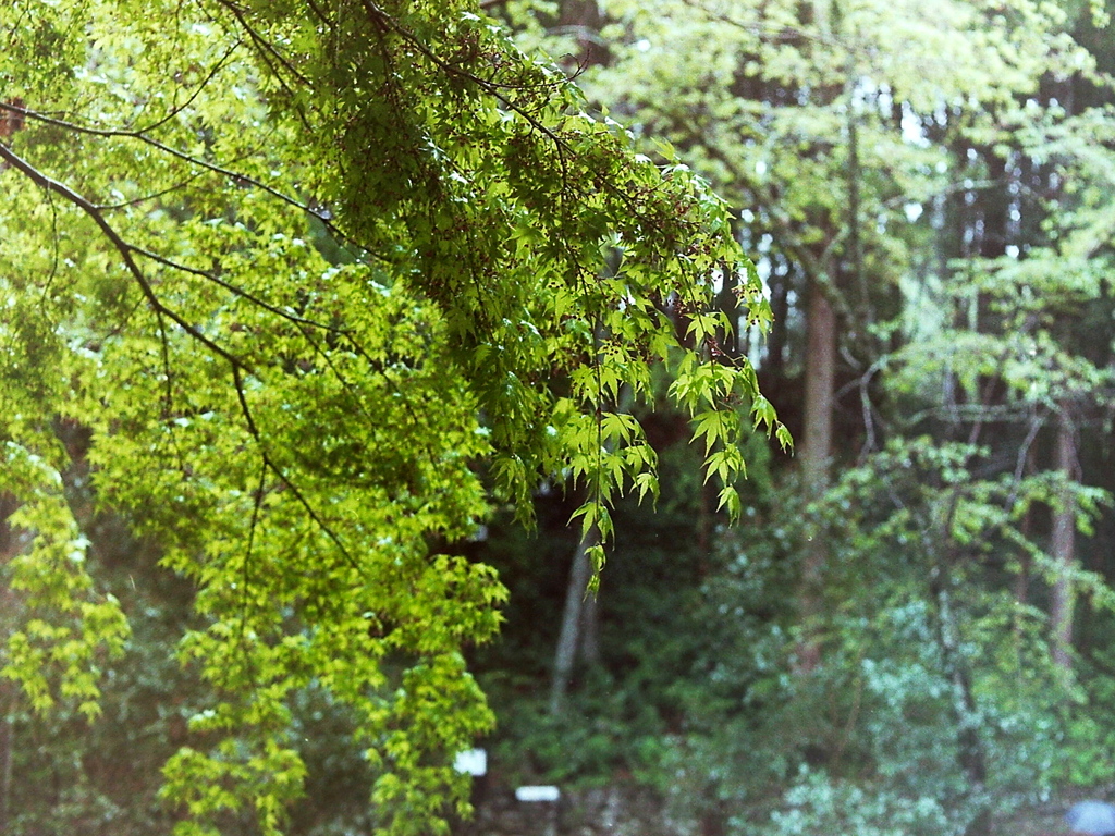 「仙台05」 (film)