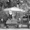 「カフェ・ポンテ monochrome ver.」 (film)