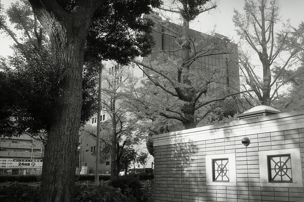 「横浜 山下」 (film)