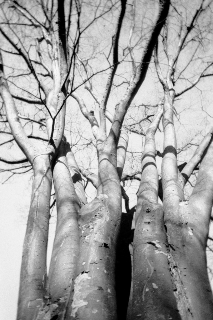 「冬公園」 (film)