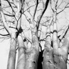 「冬公園」 (film)