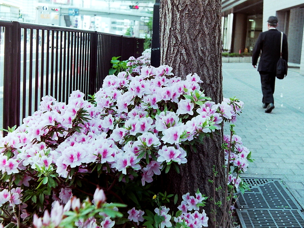 「上大岡」 (film)