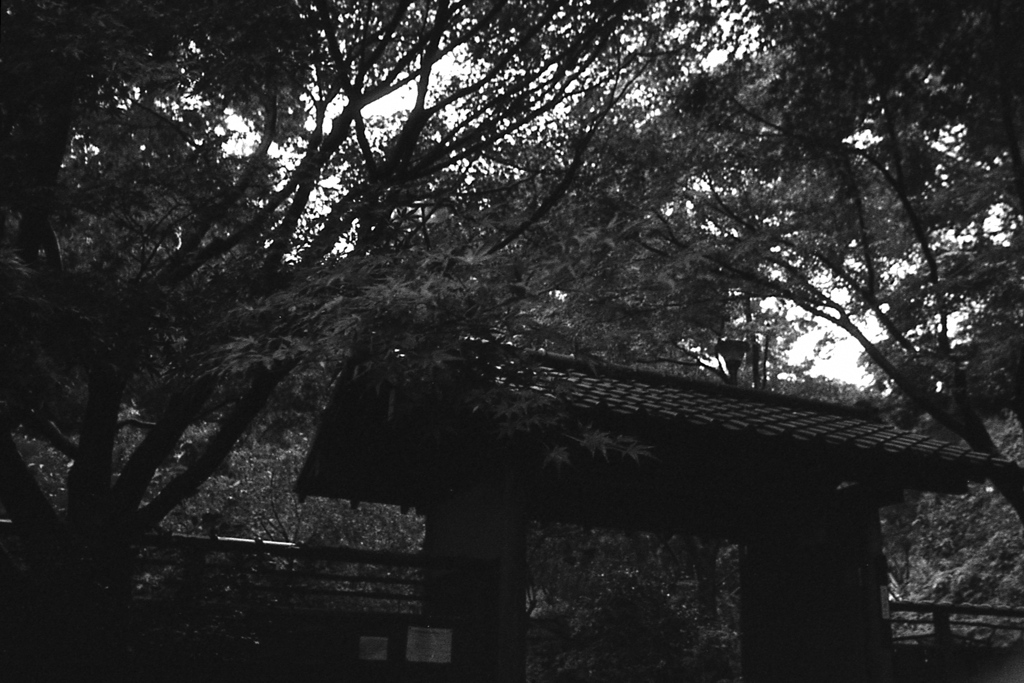 「9/27 久良岐公園で」 (film)