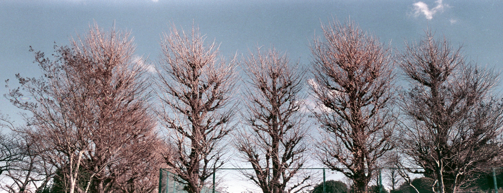 「冬公園」 (film)