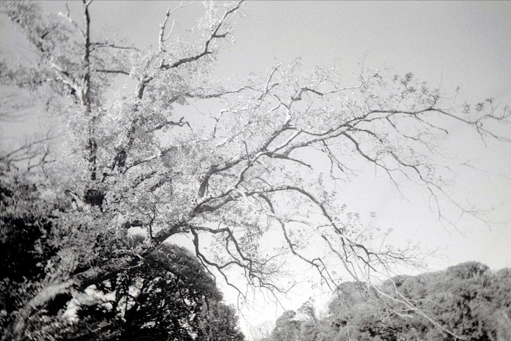 「冬公園」 (film)