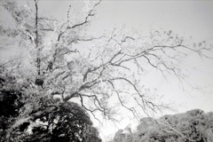 「冬公園」 (film)