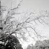 「冬公園」 (film)