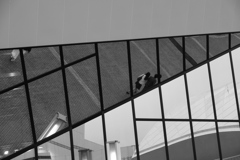 「reflection 01」