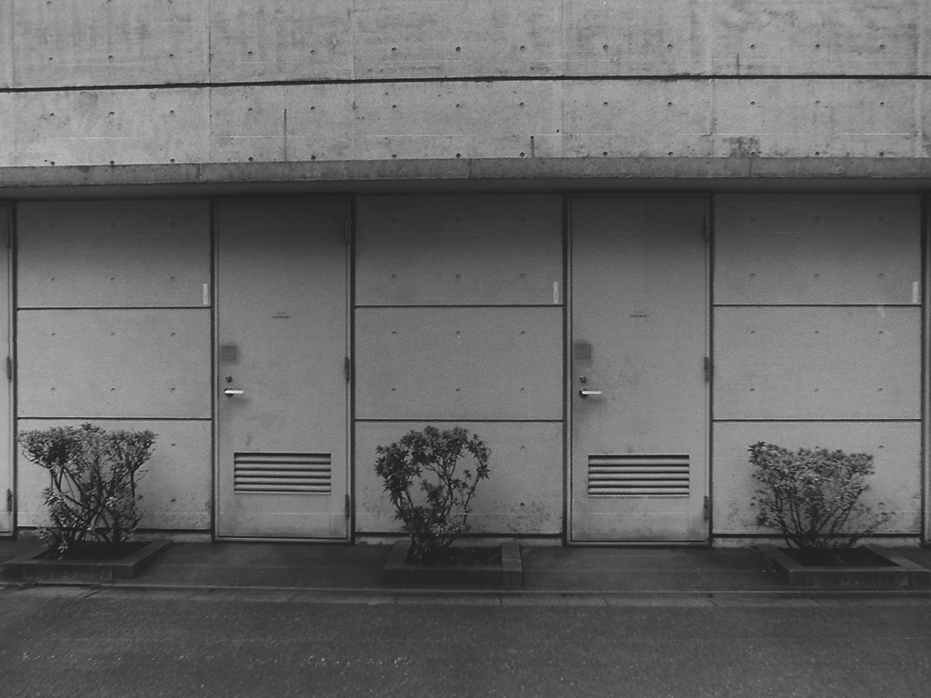 「WALL 01」 (film)