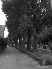 「にほん大通り」 (film)