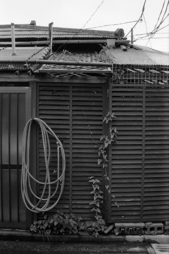 「通りすがりの者です」 (film)