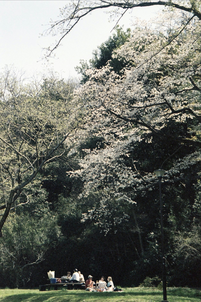 「春の休日」 (film)