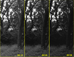 「ISO comparison for HR20」 (film:HR20)