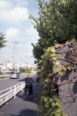 「LIFE」 (film)