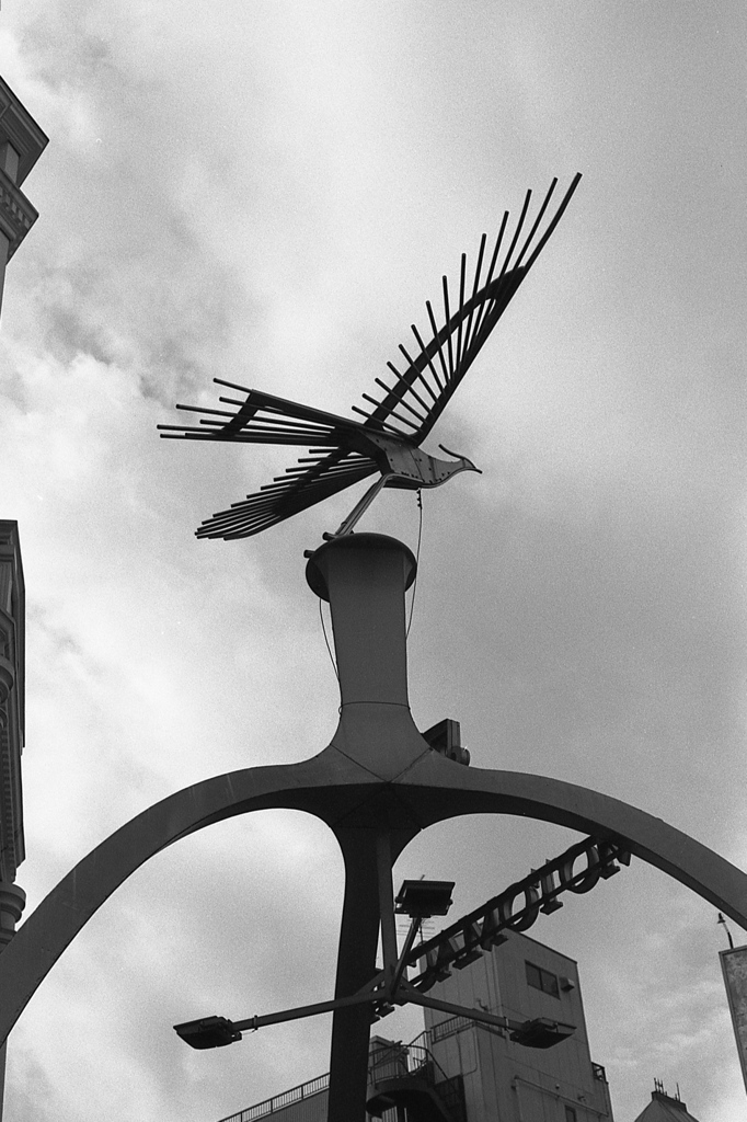 「bird」 (film)
