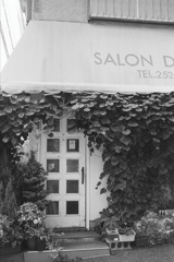 「SALON」 (film)