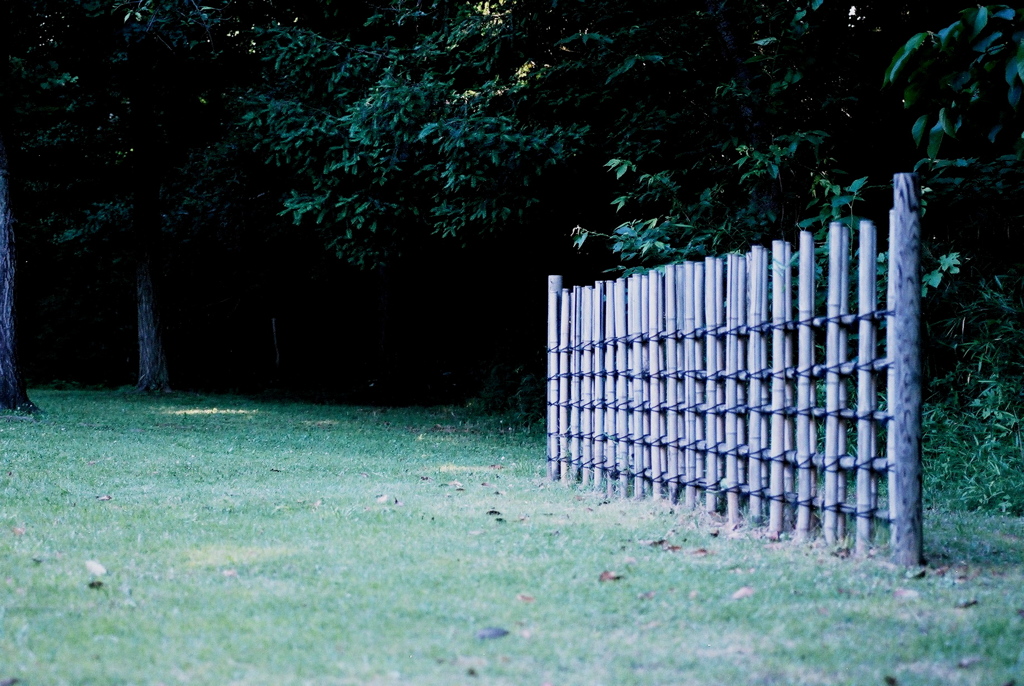 「Bamboo hedge」 (film)