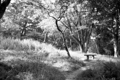 「夏公園」 (film)