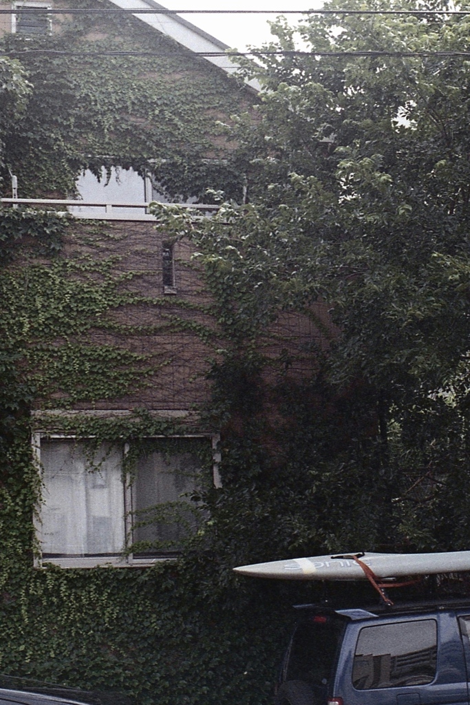 「LIFE」 (film)