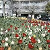 「少し前」 (film)