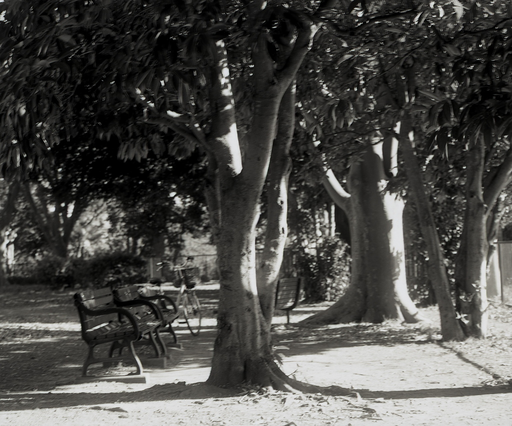 「午後の公園」 (film:HR20)