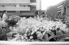 「駅前花壇」 (film)