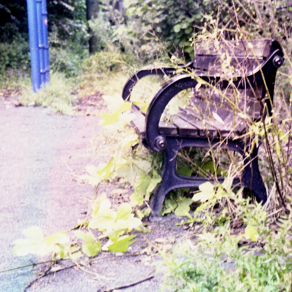 「bench」 (film)