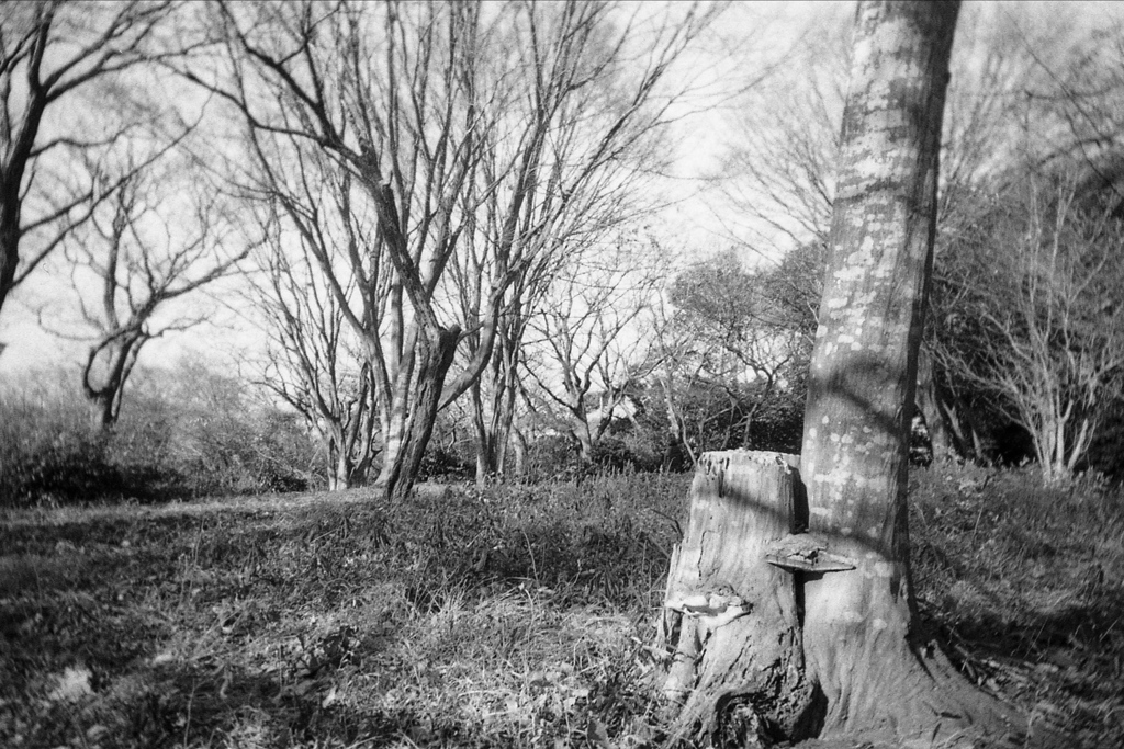 「冬公園」 (film)