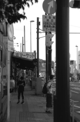 「散策カメラ 15」 (film)