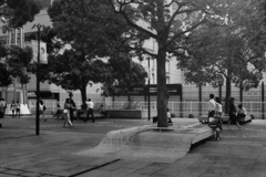 「benches 06」 (film)