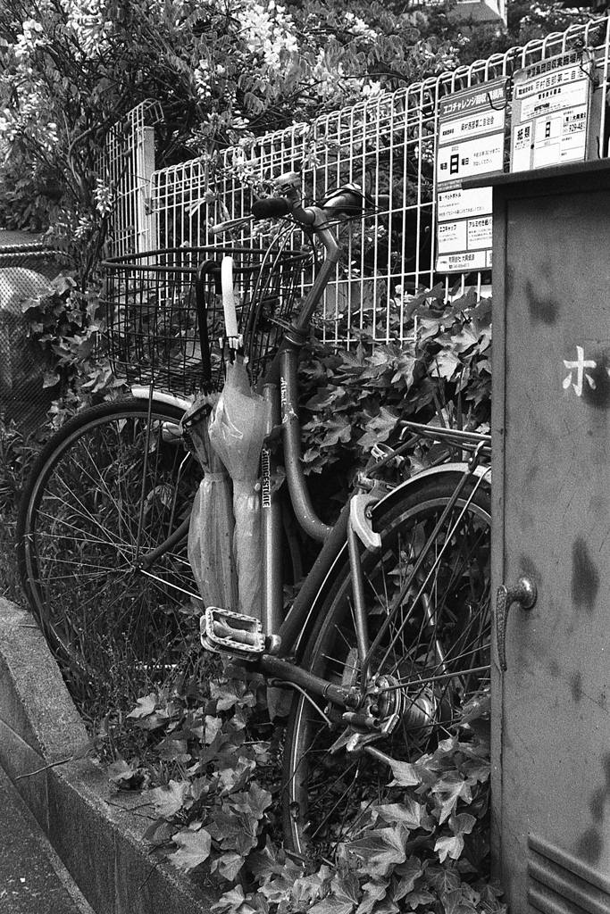「放置: Abandaned」 (film)