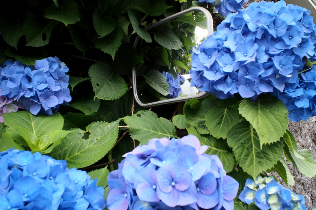 「街角flower」 (digital)