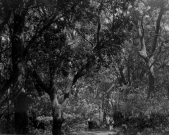 「4/18 公園で」 (film)