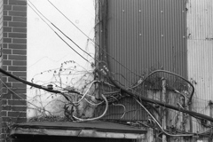 「Electricity」 (film)