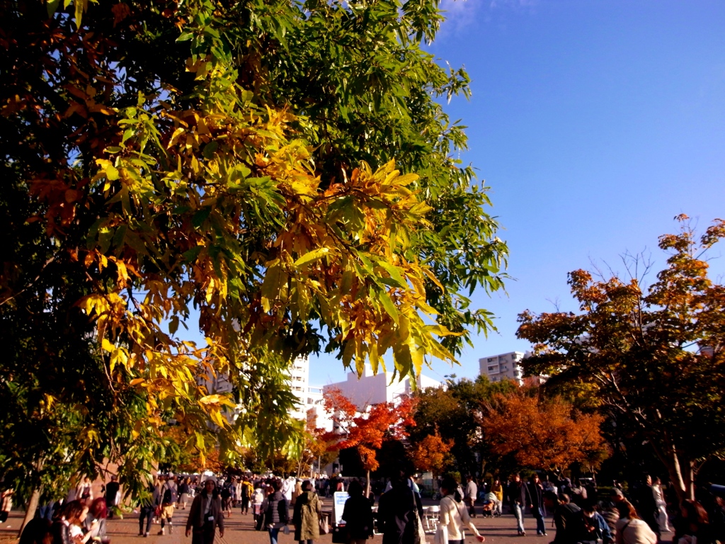 「東京蚤の市にて08」