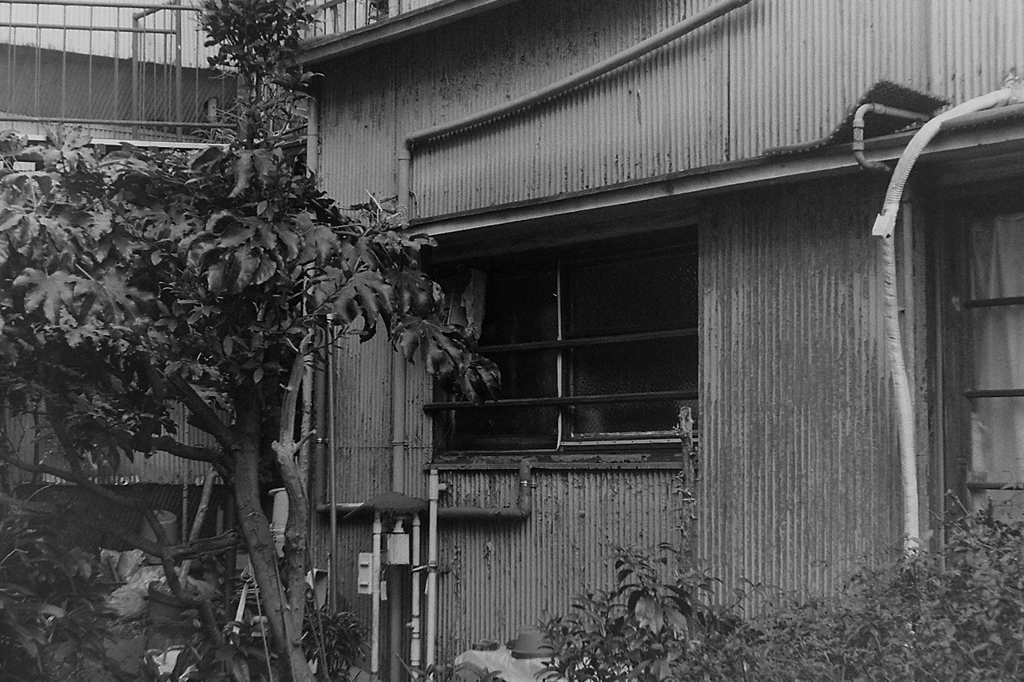 「2/2 街歩き20」 (film)