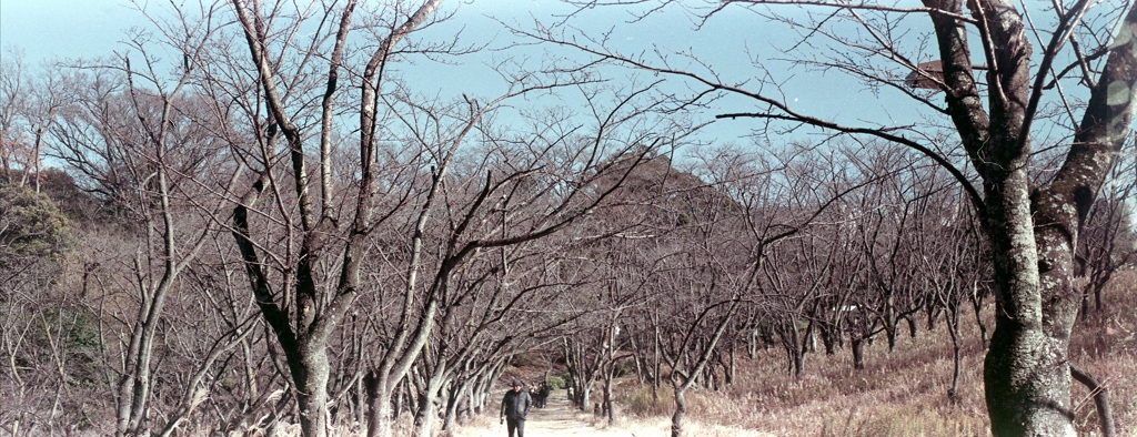 「冬公園」 (film)